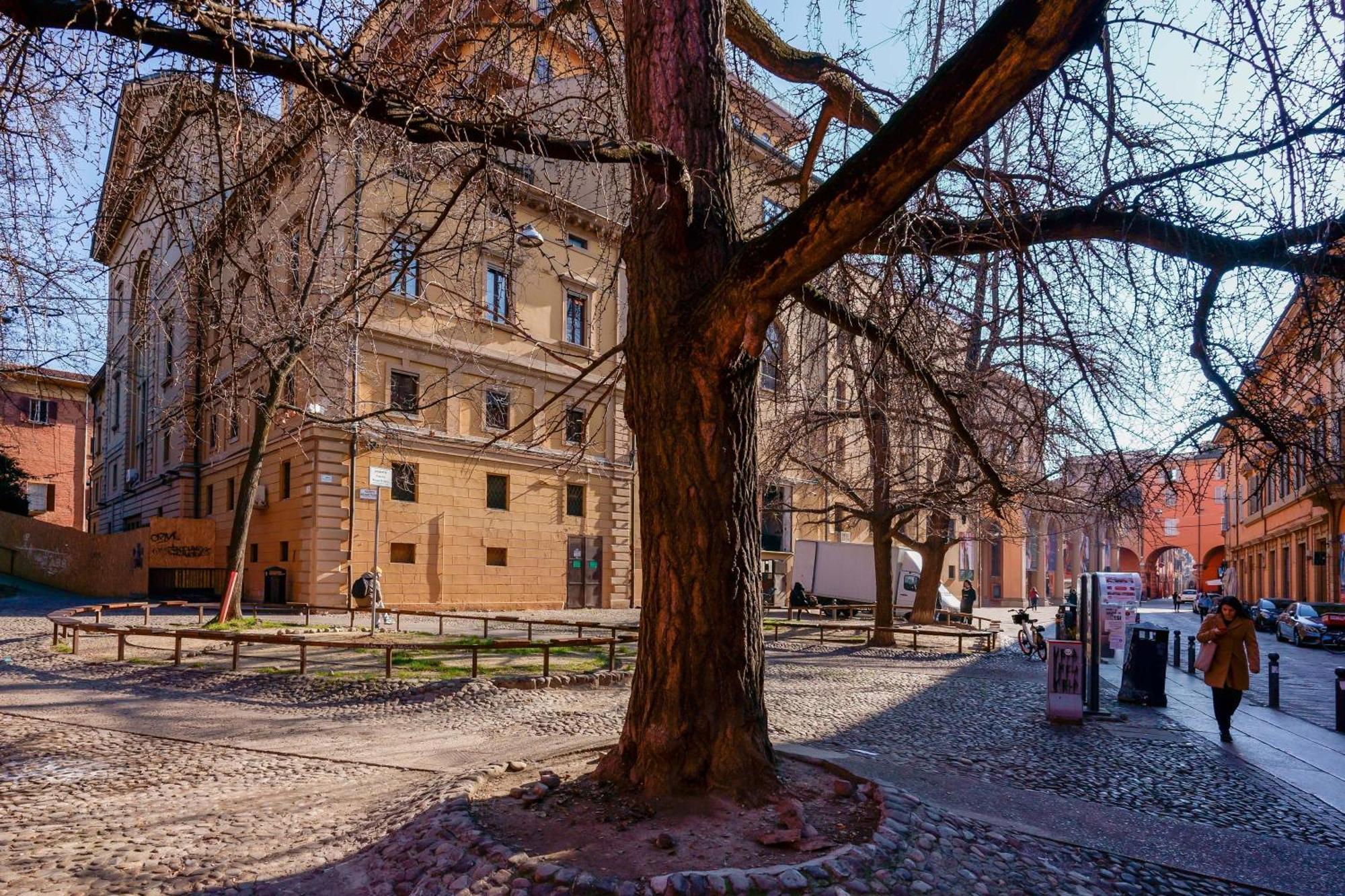 Zamboni 58 Apartment - Zona Movida Boloňa Exteriér fotografie